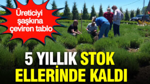 haber-gorseli-1787054658079
