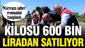 haber-gorseli-1787148532661